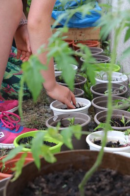 Ernährungsbildung mit Beet und Backofen: Erfolgreicher Abschluss eines deutsch-polnischen Bildungsprojekts