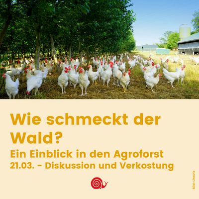 Wie schmeckt der Wald? - Ein Einblick in die Agroforstwirtschaft