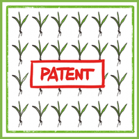 Patente (c) no patents on seeds.png