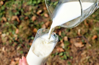 Slowpedia Eintrag: Milch