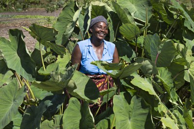 Verkehrte Welt: Internationaler Slow-Food-Präsident über Afrikas Ernährungsparadox