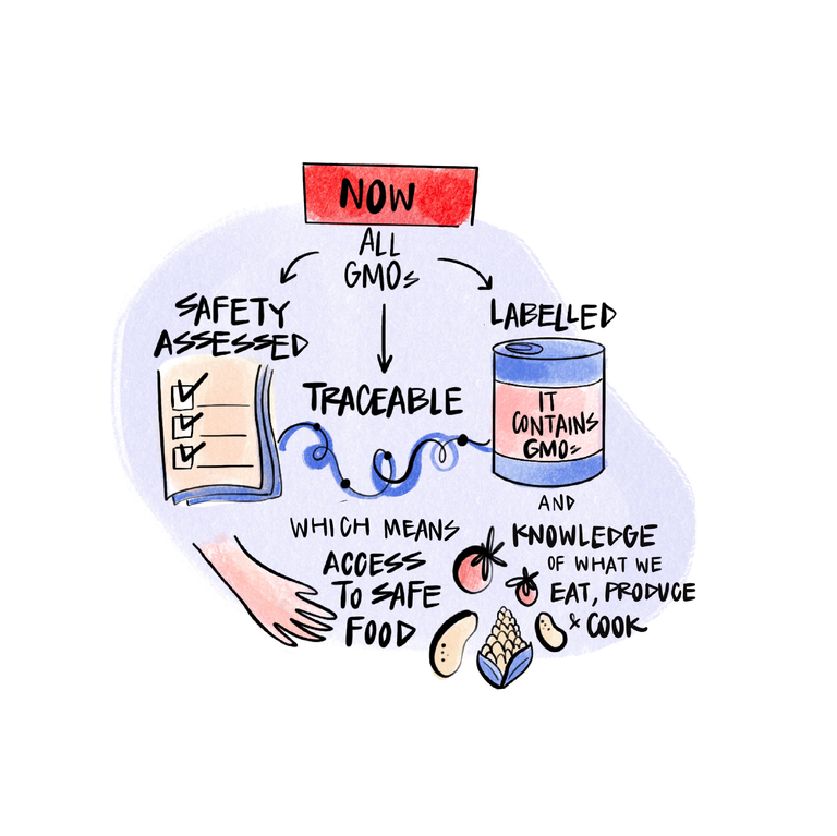 GMO_regulation-01.png