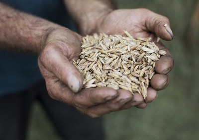Neuer Arche-Passagier: Babenhauser Zuchtvesen