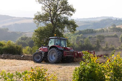 Ernährungswende jetzt: Neue Bundesregierung muss handeln!