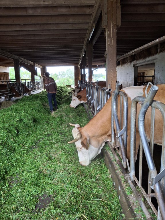 Hohenhardter Demeterhöfe (c) Sabrina Buchholz.jpg