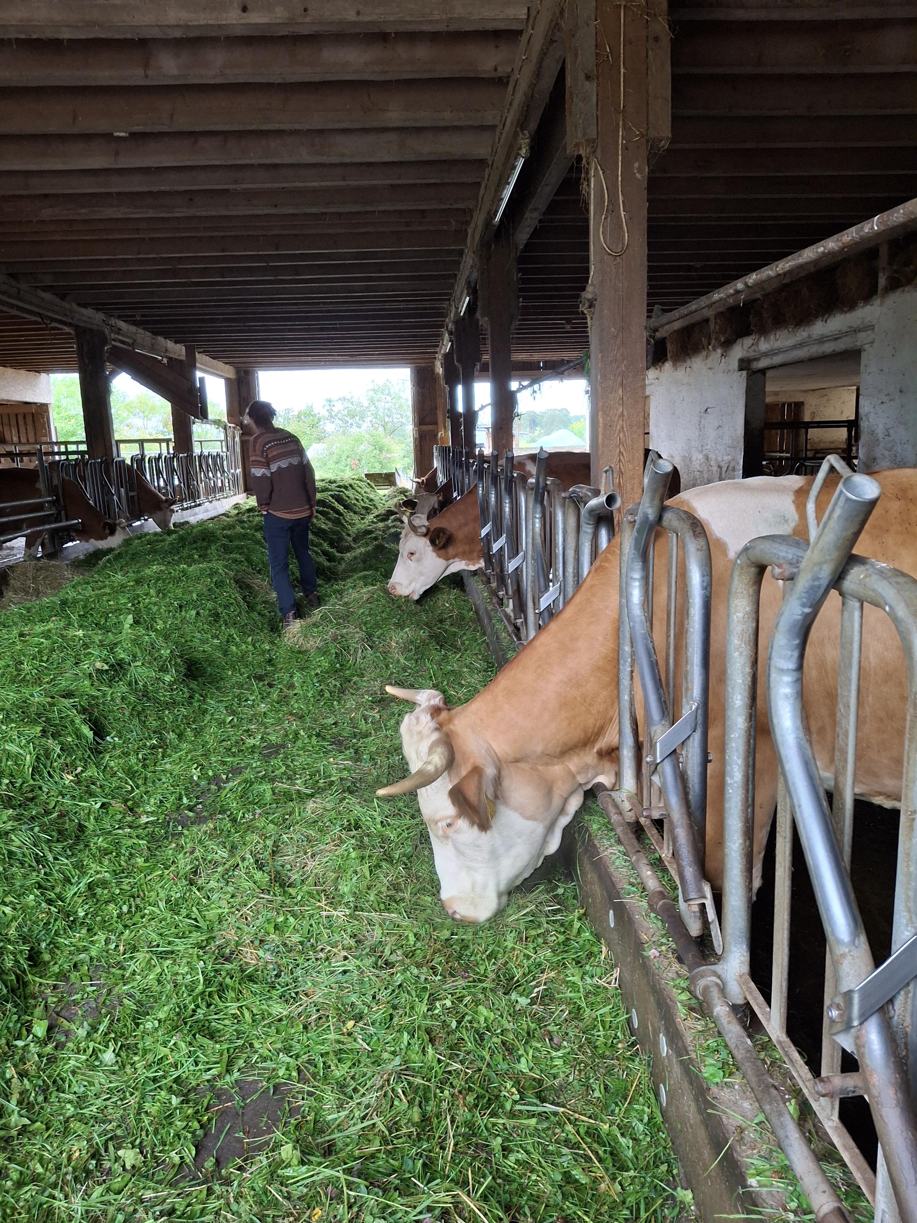 Hohenhardter Demeterhöfe (c) Sabrina Buchholz.jpg