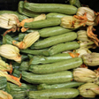 aktuelles-aktuelles_2015-bitter_zucchini_112.jpg