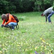 aktuelles-aktuelles_2017-bluetenreiches_gruenland_haar_heuberger_112.jpg