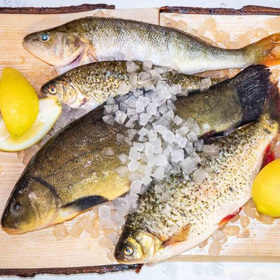 2019_Fisch_(c)Slow Food_25_klein 1..1.jpg 2019_Fisch_(c)Slow Food_25_klein 1..1.jpg