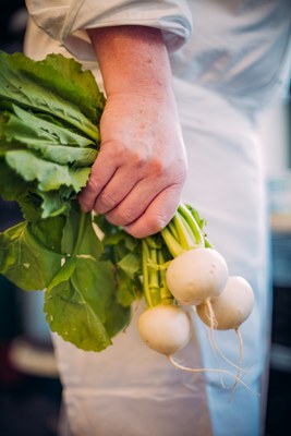 COP27: Slow Food fordert prioritäre Rolle der Ernährung beim Klimaschutz