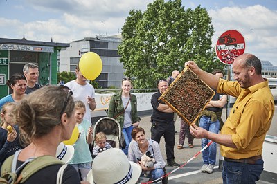 Weltbienentag: Auftakt Volksbegehren Artenschutz