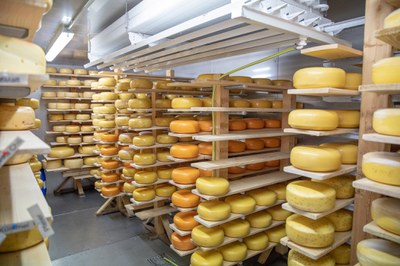 Käse (c) Ingo Hilger.jpg