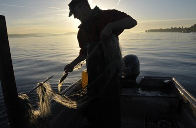 Bodenseefischer (c) Verband Badischer Berufsfischer am Bodensee e.V.jpg