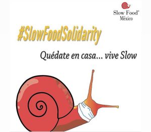 slowfoodsolidarity (c) Slow Food Mexico.jpg