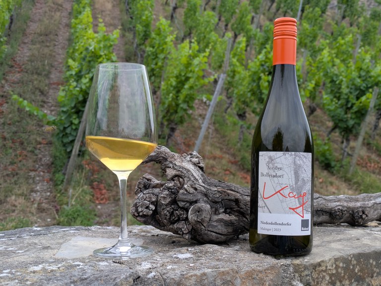 Arche Gelber Malinger (c) Herbert Steiner.jpg