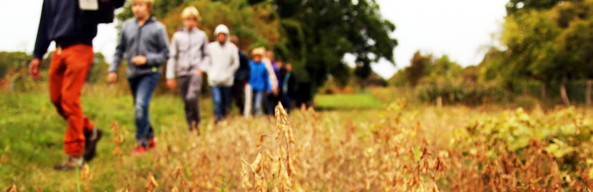 bildung-sojafeld_gruppe_593.jpg bildung-sojafeld_gruppe_593.jpg