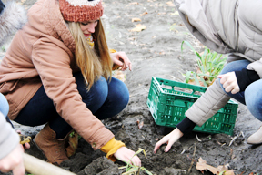 bildung-schulprojekt_tst_projektag_1_288.jpg bildung-schulprojekt_tst_projektag_1_288.jpg