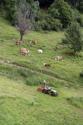 arche-hinterwaelder_beschreibung_288.jpg arche-hinterwaelder_beschreibung_288.jpg
