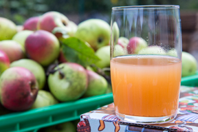 arche-laus_nelkenapfel_saft_abt_288x192.jpg arche-laus_nelkenapfel_saft_abt_288x192.jpg