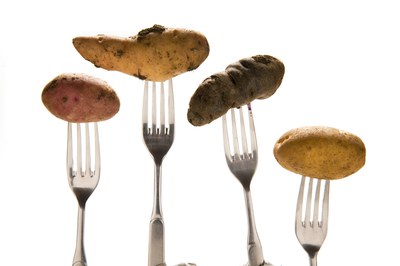 Pflanzenbetont essen Pflanzenbetont essen