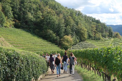 Genussreisen quer durch Deutschland