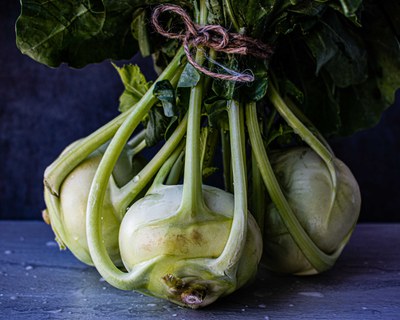 Schwerpunkt Kohlrabi