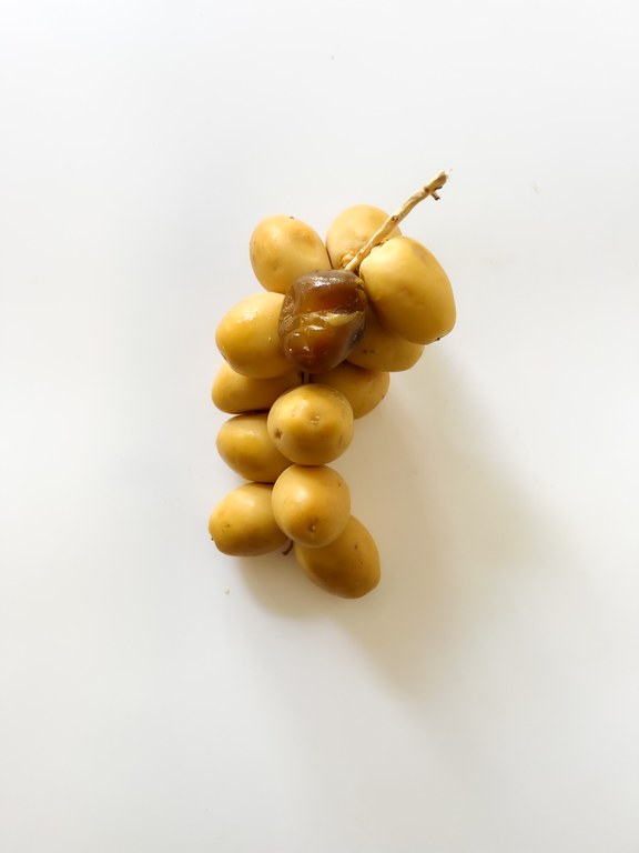 Datteln8 c Luka Lübke.jpg