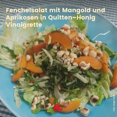Neues aus der Dienstagsküche: Fenchelsalat mit Mangold und Aprikosen In Quitten–Honig Vinaigrette