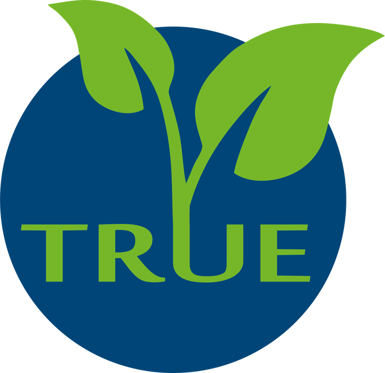 TRUE_Logo_4C.png