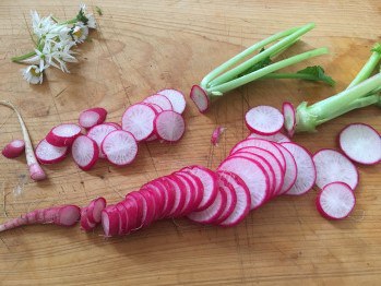 Frühlingssalat vom Radieschen, Rettich und Kohlrabi mit Kürbiskernen