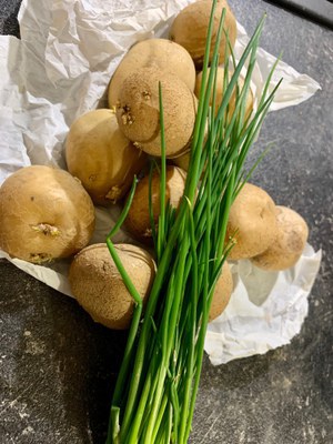 Kartoffeln (c) Michaela Wendel.jpeg