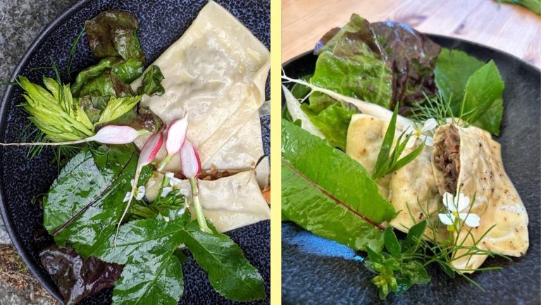 Linsen- Maultaschen mit Birne und Radicchio — Slow Food Deutschland Linsen- Maultaschen mit Birne und Radicchio — Slow Food Deutschland