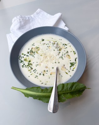 Weiße Meerrettichsuppe