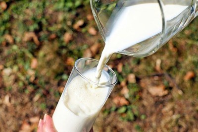 Milch: Landkarte