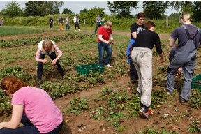 aktionen_2016-erntetour_potsdam_288x1192_1.jpg