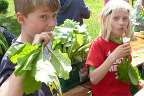 terminbilder-geschmackstage_obst_gemuese_288_hilger.jpg terminbilder-geschmackstage_obst_gemuese_288_hilger.jpg
