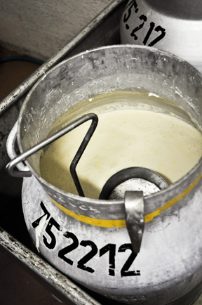 aktuelles-aktuelles_2015-rohmilch_archiv-slow-food_1_192.jpg aktuelles-aktuelles_2015-rohmilch_archiv-slow-food_1_192.jpg