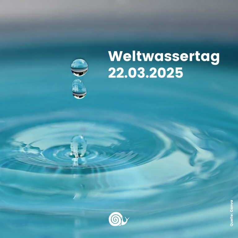 Teaser-Bild Webseite_VA zum Weltwassertag 2025.png