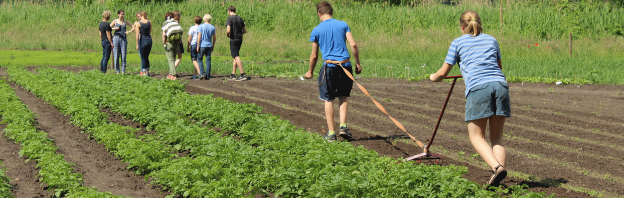 Slow Food Communities