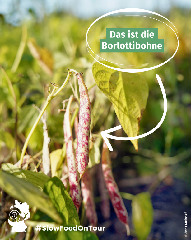 14042026_PastaeFagioli.png