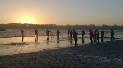 Abfischen im Morgenlicht (c) Karsten Ringpfeil Mehrere Personen ziehen bei Sonnenaufgang ein Fischernetz durch einen abgelassenen Teich in der Lausitz