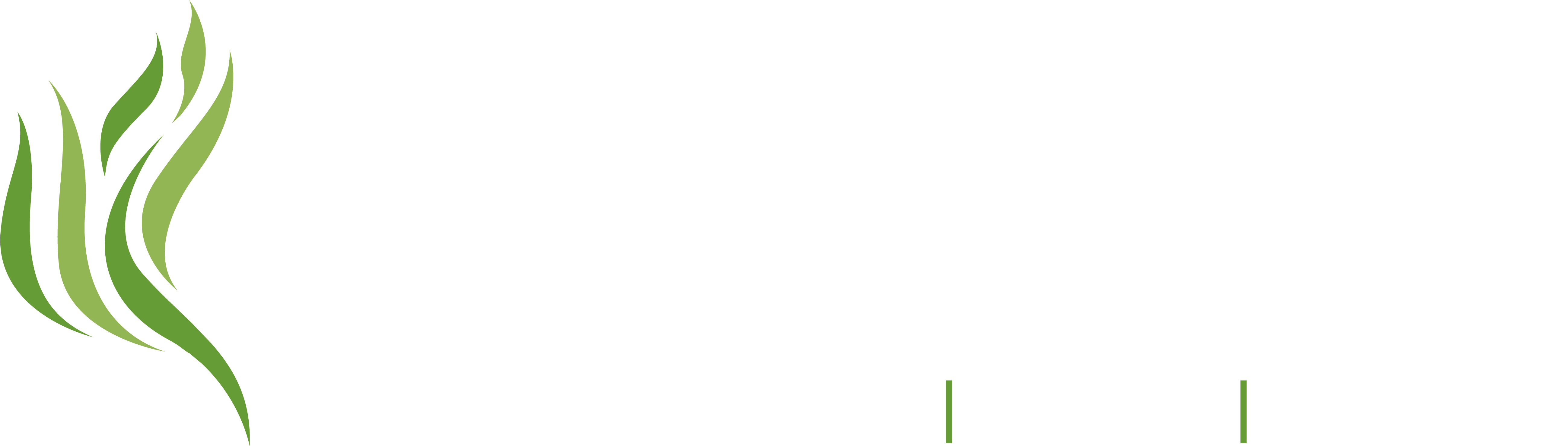 Parasado_Classic_Logo.png