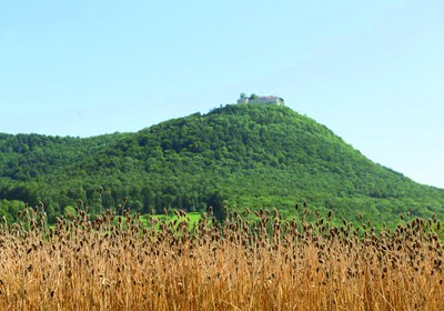 (c) Bäckerhaus Veit