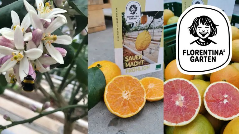 Florentinas Garten Werbebild.jpg