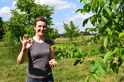 Silvia Geier auf dem Hof Windkind am Walnußbaum mit Walnüssen (c) Hof Windkind hof-windkind-walnüsse-silvia-geier.JPG