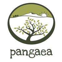 pangaea-logo-300px.jpg
