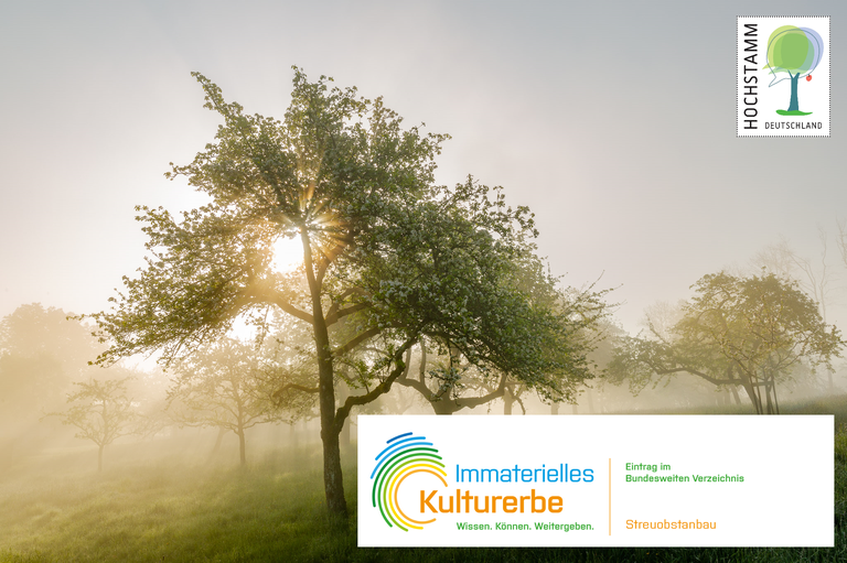 Immaterielles Kulturerbe Streuobstanbau.png