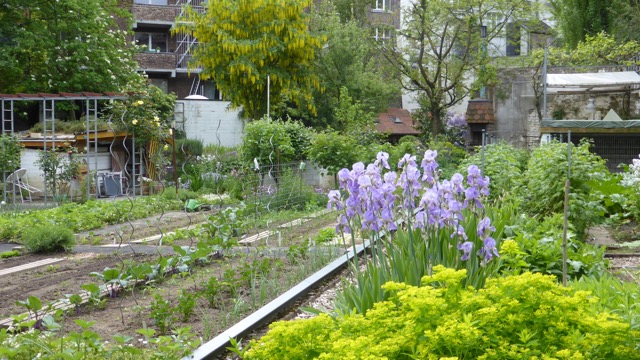 Aachen-Garten (8).jpeg