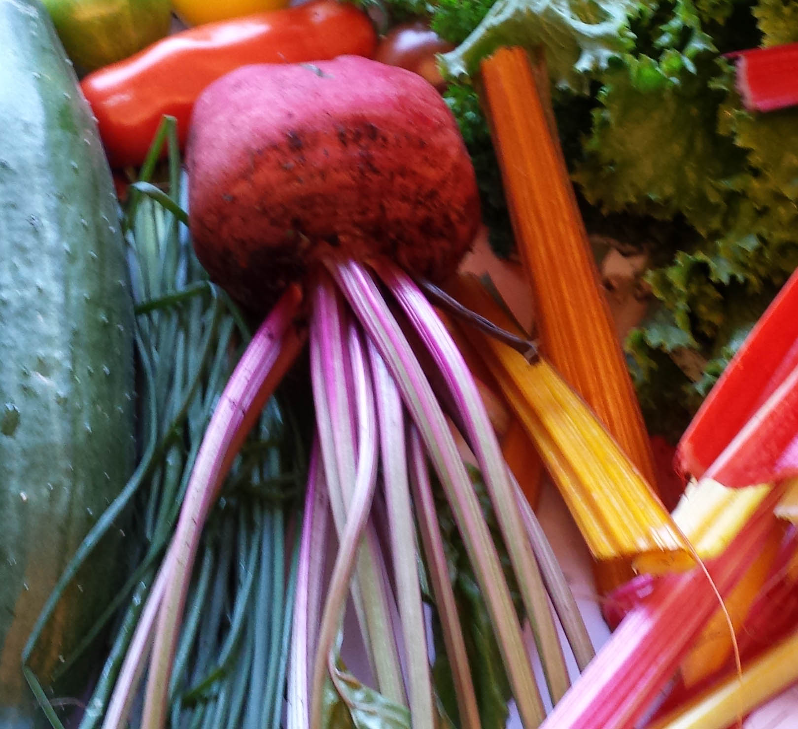 RoteBete.jpg
