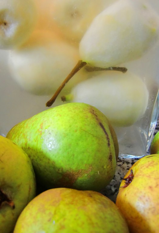 Münsterbirne  in Weißwein2-BZ.jpg